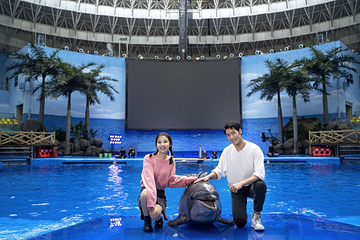 海合安成都极地海洋公园第 149 张图片