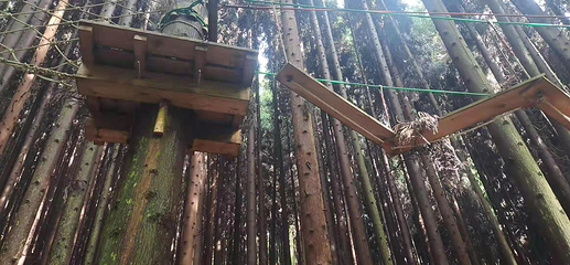 药王谷第 43 张图片
