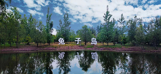 盘锦森林公园第 61 张图片