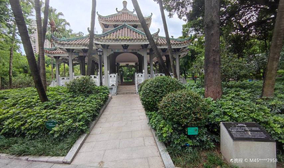 黄花园第 1 张图片