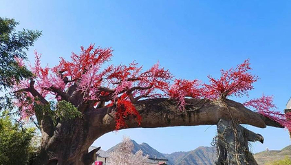 竹林关桃花谷景区第 1 张图片