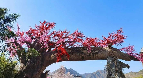 竹林关桃花谷景区