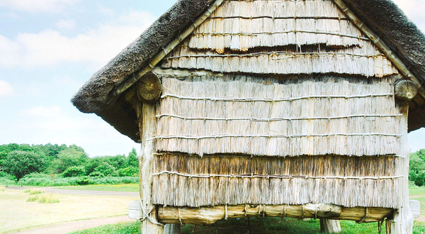 特别史迹 三内丸山遗址