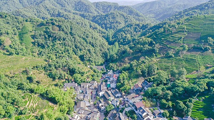 杨梅岭村第 5 张图片