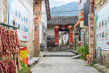 溪头旅游村第 8 张图片