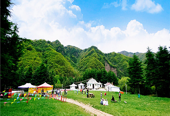 六盘山国家森林公园第 16 张图片