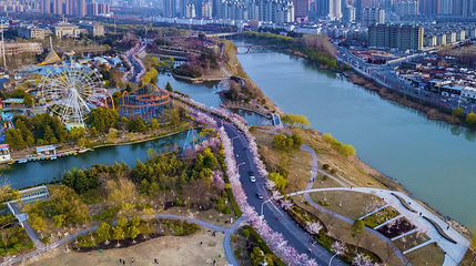 淮安市樱花园第 1 张图片