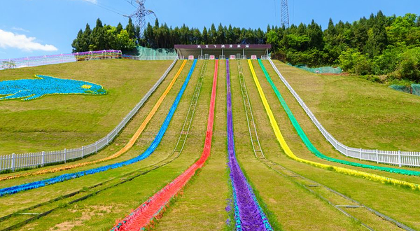 飞鸿滑草场