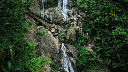 海南百花岭热带雨林文化旅游区第 44 张图片