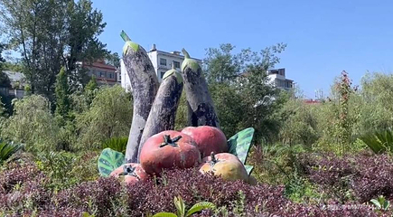泰丰园第 4 张图片