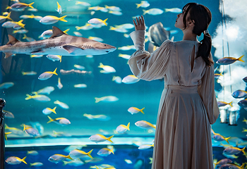 神户都市型水族馆 AQUARIUM×ART átoa第 23 张图片