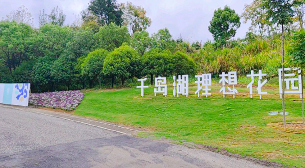 千岛湖理想花园