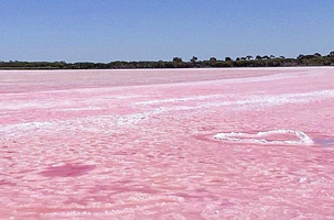 Pink Lake
