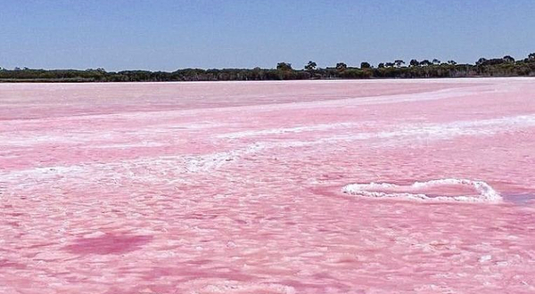 Pink Lake