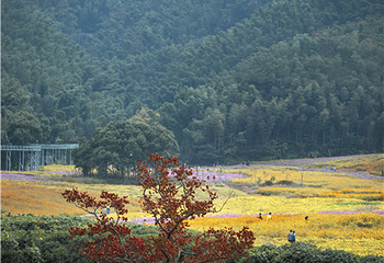 梅岭曼山谷景区第 31 张图片