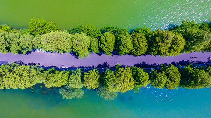 东湖生态旅游风景区第 88 张图片