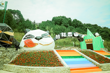 熊猫香山第 17 张图片