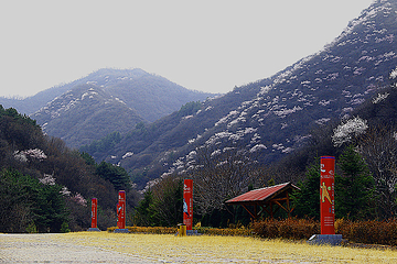 翠枫山自然风景区第 34 张图片