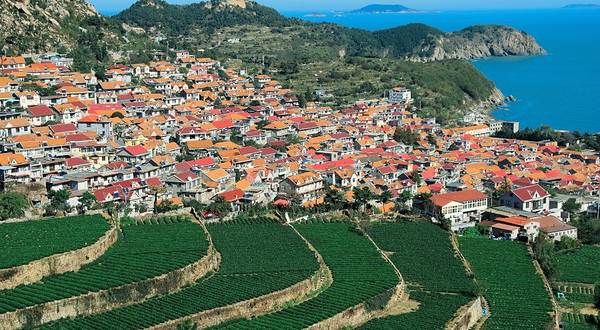 崂山茶苑生态旅游区