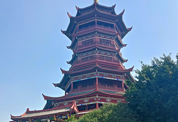 厦门园林博览苑第 84 张图片