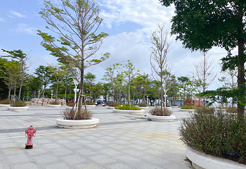 北海银滩景区第 60 张图片