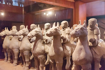 徐州汉兵马俑博物馆第 11 张图片