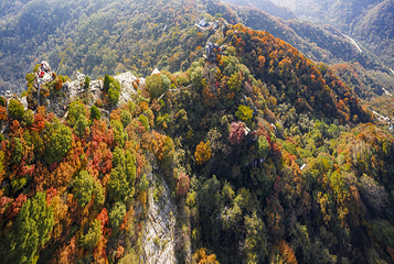 翠华山·秦岭终南山世界地质公园第 27 张图片