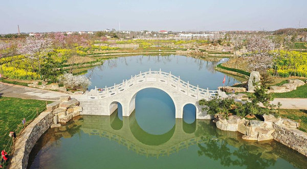 武汉湿地樱花园