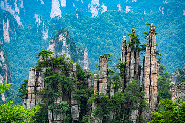 天子山风景区第 60 张图片