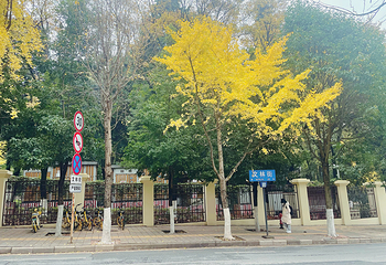 文林街第 4 张图片