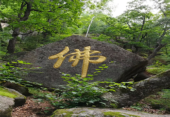 峰岩山寨旅游度假区第 48 张图片