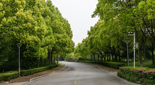 新东海高尔夫乡村俱乐部