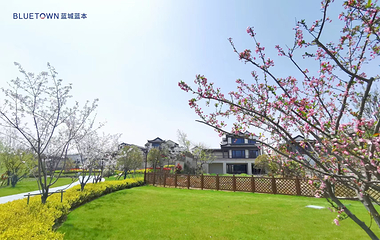 蓝城桃花源旅游度假小镇第 6 张图片