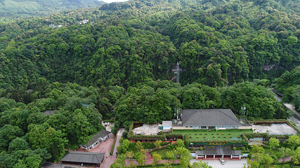 碧峰峡野生动物世界第 109 张图片