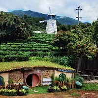 长泰山水畔小布丁萌宠乐园