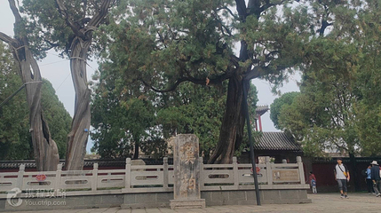 汉柏院第 2 张图片