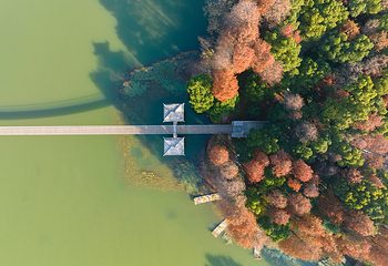 东湖落雁景区第 19 张图片