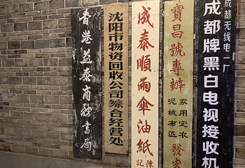 东部新区种子乐园第 145 张图片