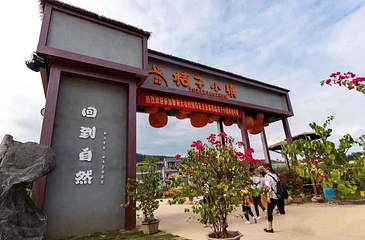 桔子小镇第 8 张图片
