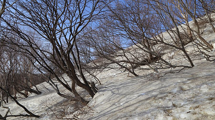 百泉山风景区第 1 张图片