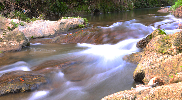 高安市华林山风景名胜区