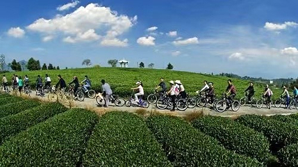 柠檬乐园第 6 张图片