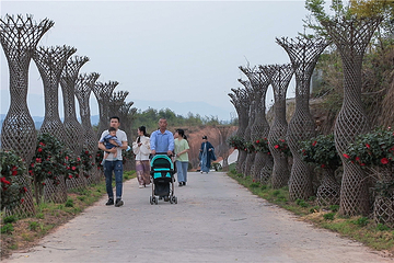 衡阳花奇里生态旅游区第 22 张图片