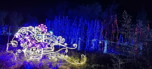 道源国家湿地公园第 13 张图片