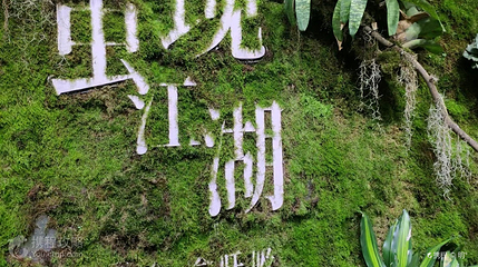 虫动时光博物馆第 2 张图片