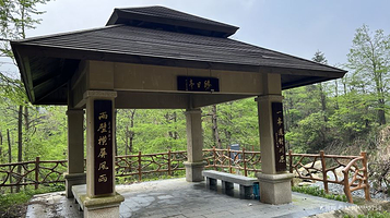 太平镇中日友谊林场