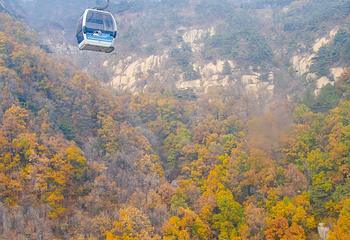 泰山风景区第 61 张图片