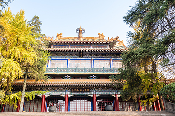 中山陵景区第 29 张图片