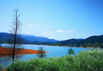 潭岭天湖第 5 张图片