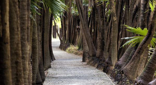 南坦葵林生态湿地公园